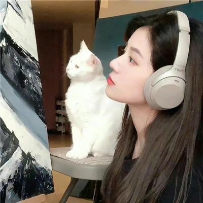 自由战士：射线 电影版